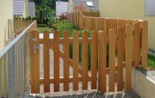 Staketenzaun-Laerche-natur